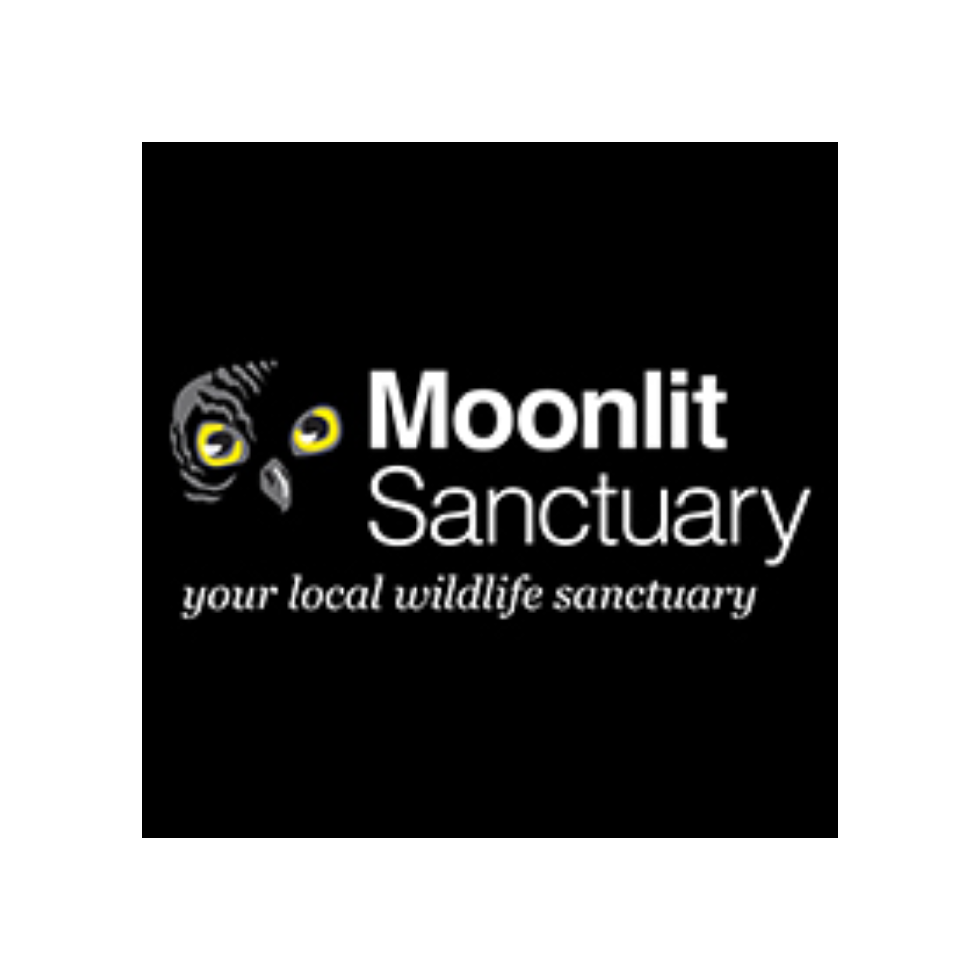 Moonlit Sanctuary