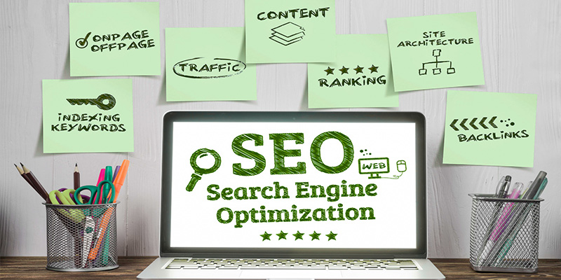 Rank Higher, Get Found, Grow Faster